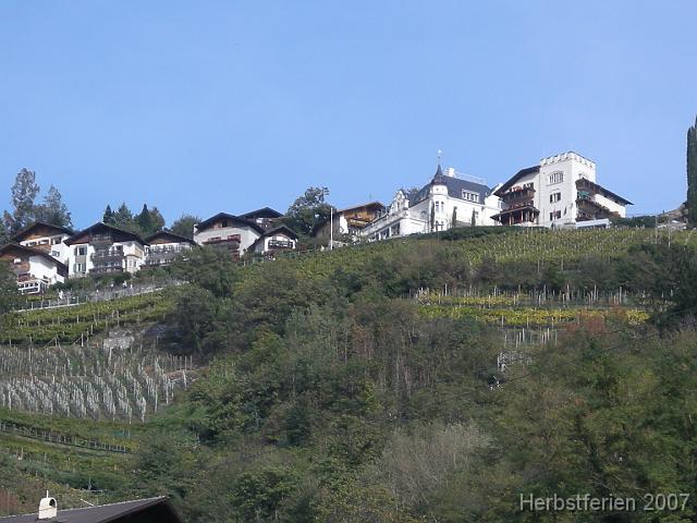 DSCN0446